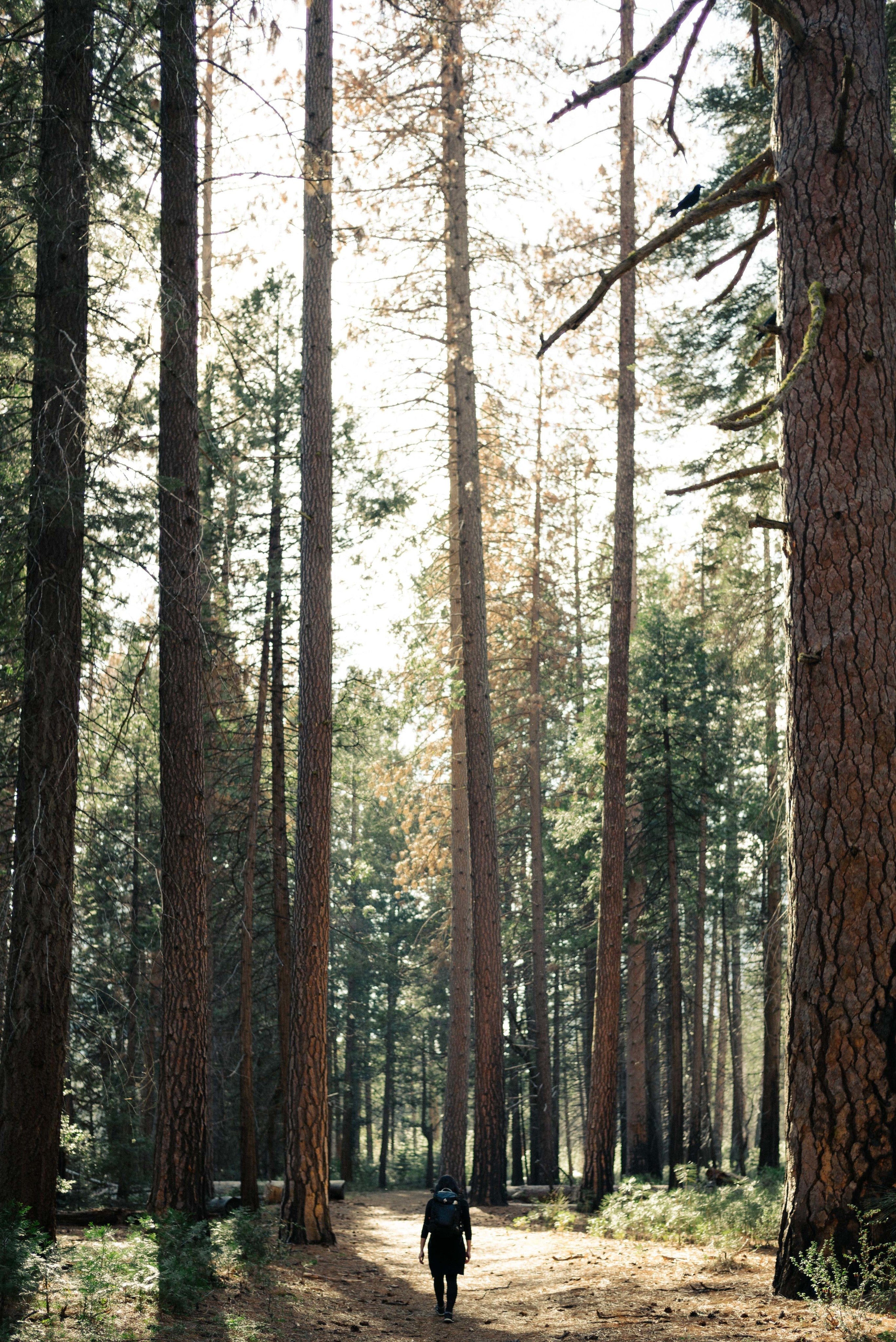 Environment
